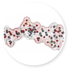 chondroitin-sulfate